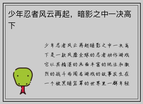 少年忍者风云再起，暗影之中一决高下